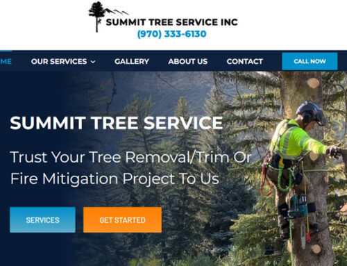 Summit Tree Service – Dillon